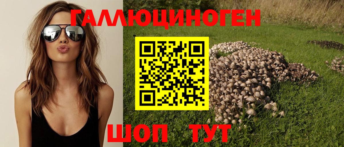 Галлюциногенные грибы мицелий  Вход с VPN  Кызыл 