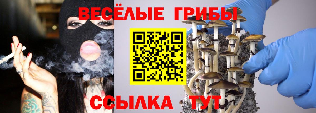 Галлюциногенные грибы Cubensis Кызыл